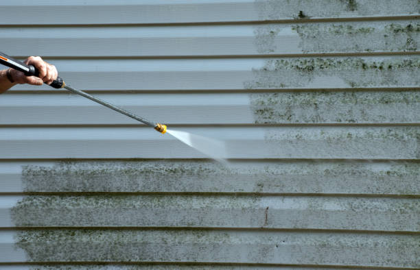 Professional Pressure Washing Services in Snow Hill, MD